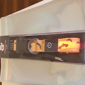 Halloween Lighted Dog Collar